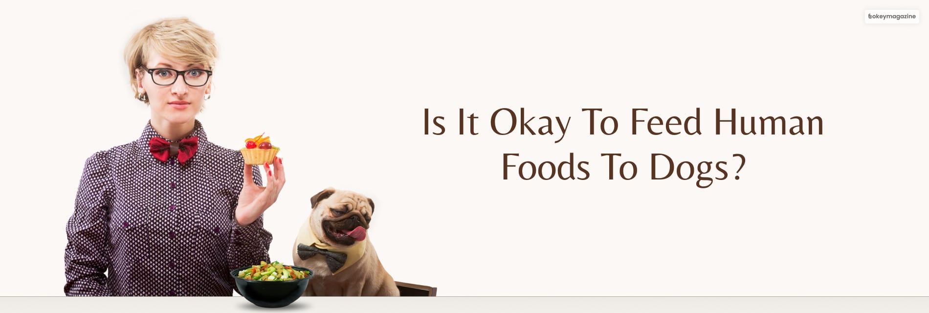 Human foods to dogs