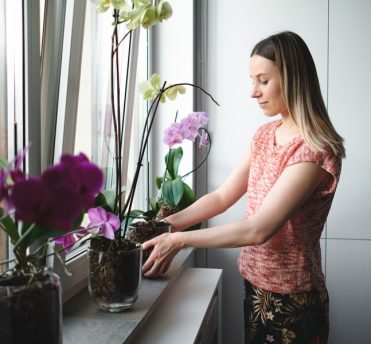 Having Fresh Flowers As Household Decoration