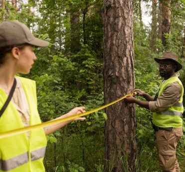 AQF Level 5 Project Arborists