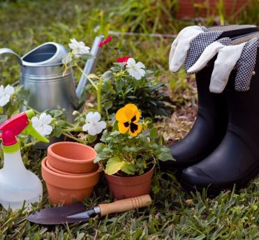 prep your garden for winter