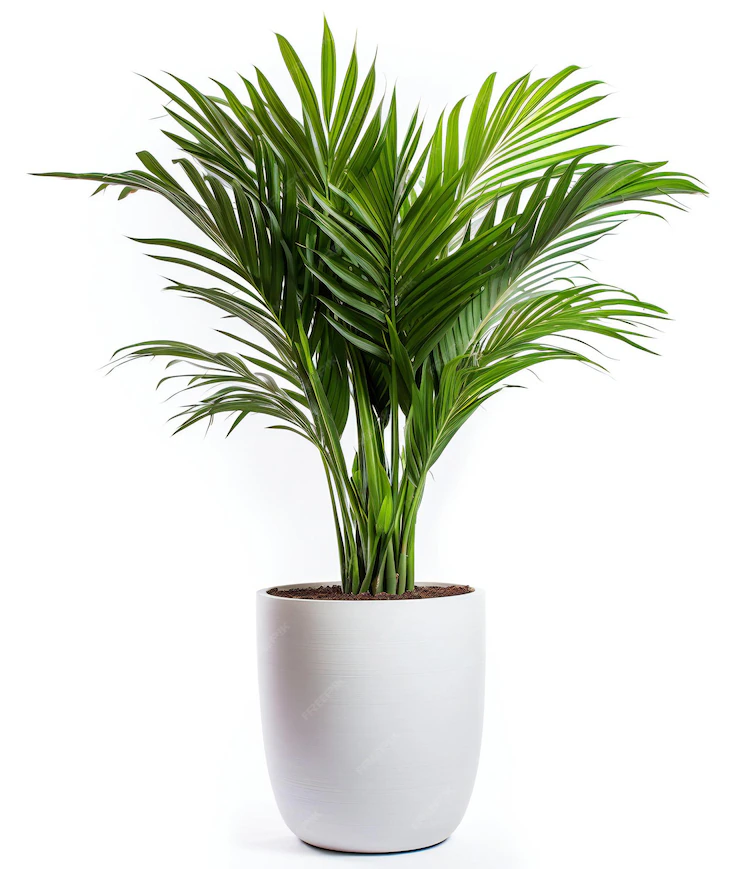 advantage of artificial plants