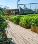 Vertical Gardens