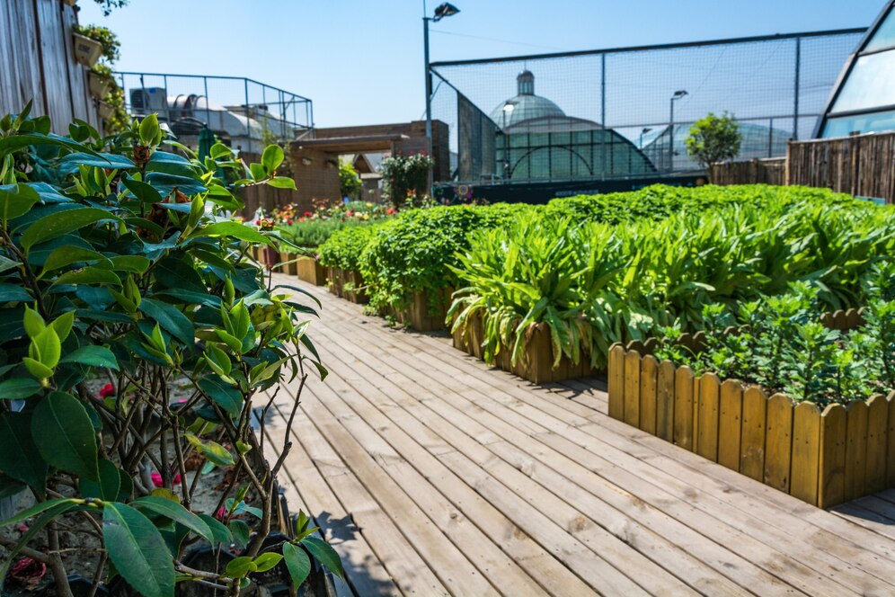 Vertical Gardens