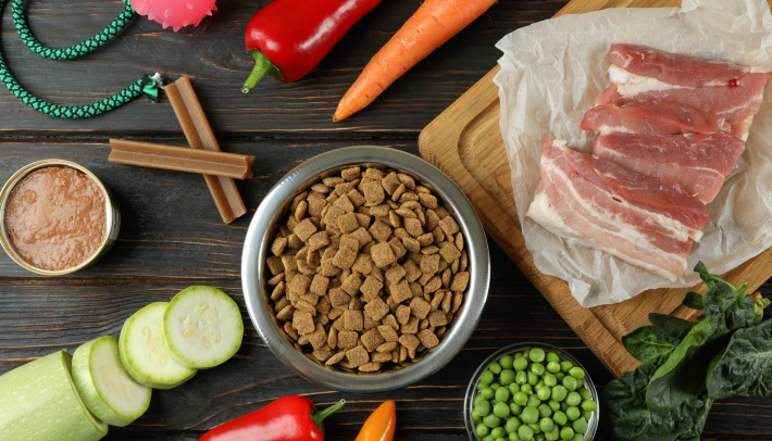 Which Raw Foods Are Best For Dogs