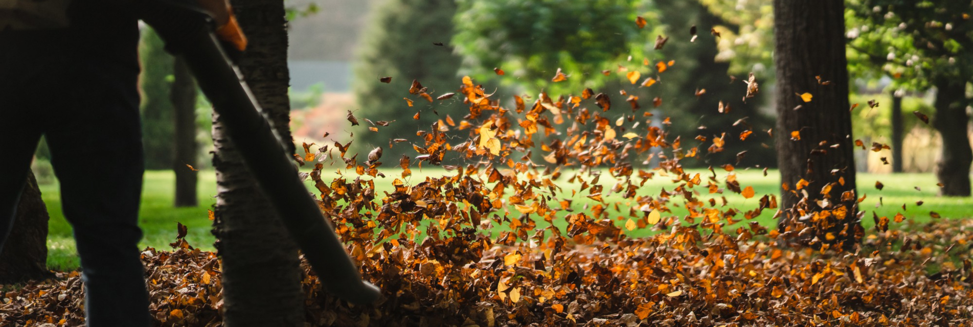 How To Maximize Efficiency In Urban Yard Clean-Up Services