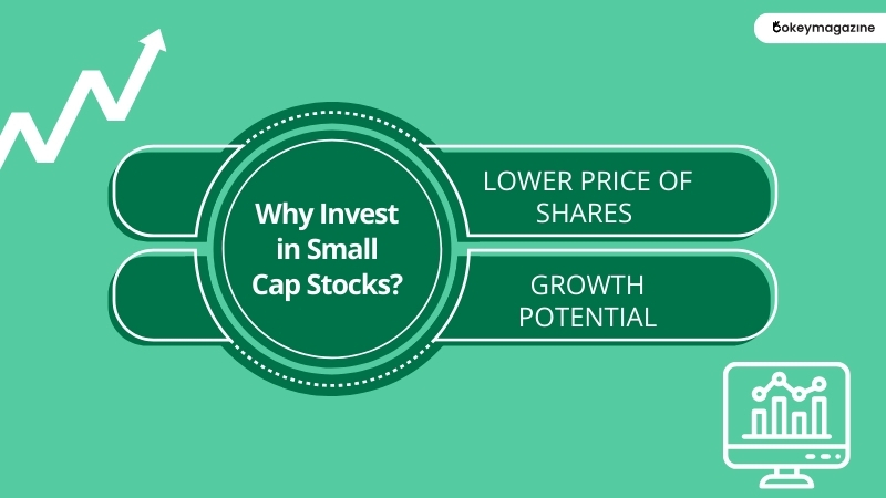 Why Invest in Small Cap Stocks?