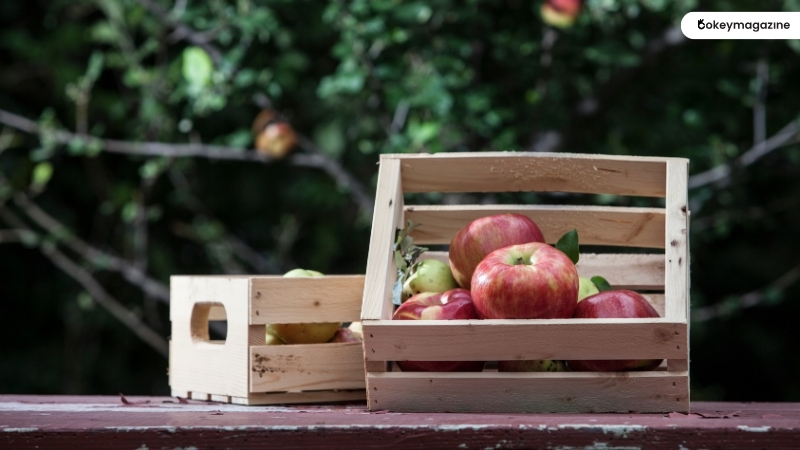 Choosing and Storing Honeycrisp Apples