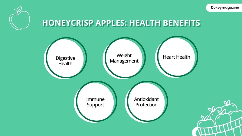 Honeycrisp Apples: Health Benefits  