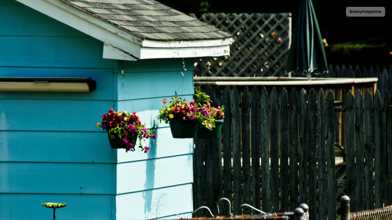 Hanging Planters