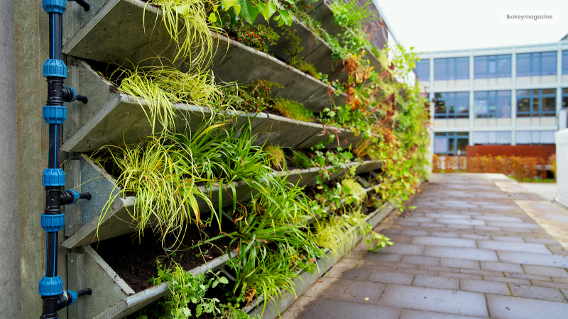 Vertical Gardens